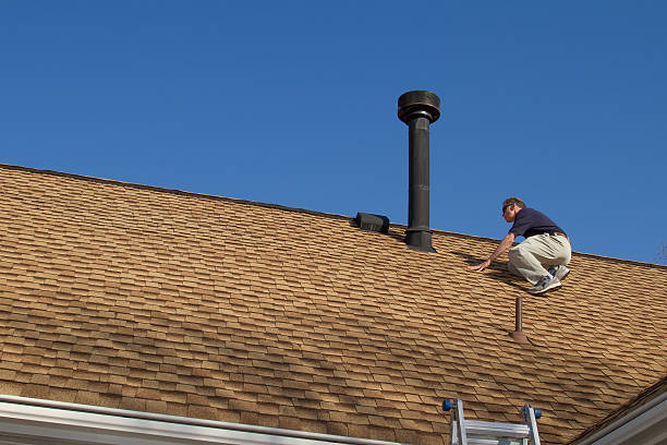 Best Roof Moss and Algae Removal  in Round Rock, TX